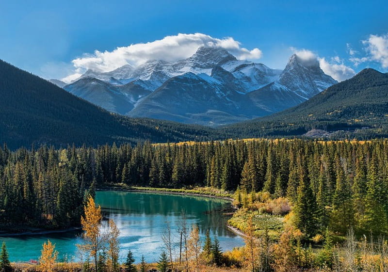 Canadian Rocky Mountains, forest, green, yellow, river, bonito, trees, snowy peaks, HD wallpaper