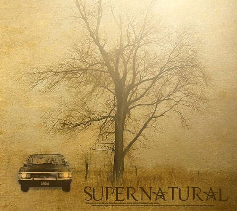 Supernatural, cw, impala, winchester, HD wallpaper