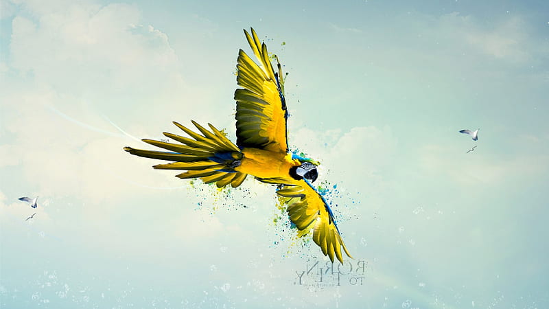 Parrot Art, parrot, artist, digital-art, flying, HD wallpaper