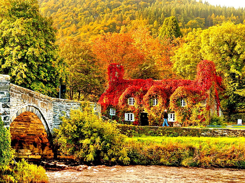 AUTUMN COLORS SURROUNDING the HOUSE, colors of nature, pretty, forest, stream, rocks, autumn, houses, bonito, seasons, nature of forces, leaves, graphy, splendor, waterfall, nature, landscape, HD wallpaper