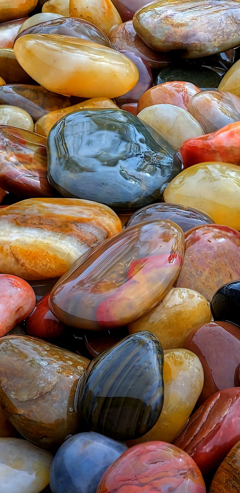 Colored stones, pebbles, squash, HD phone wallpaper