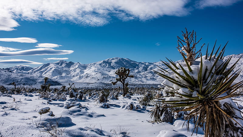 Joshua Tree National Park, California, mountains, snow, usa, sky, clouds, landscape, HD wallpaper