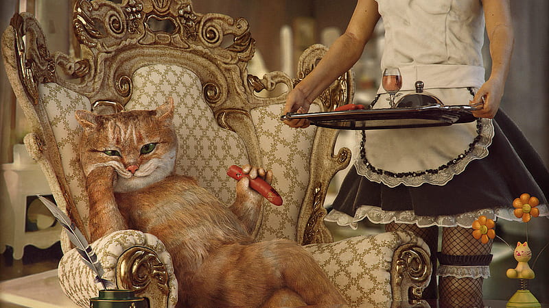 The Boss !!!, a chair, sausage, lunch, a servant girl, the cat, funny, situation, HD wallpaper