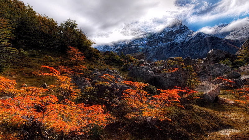 Alpine peaks-Nature landscape, HD wallpaper