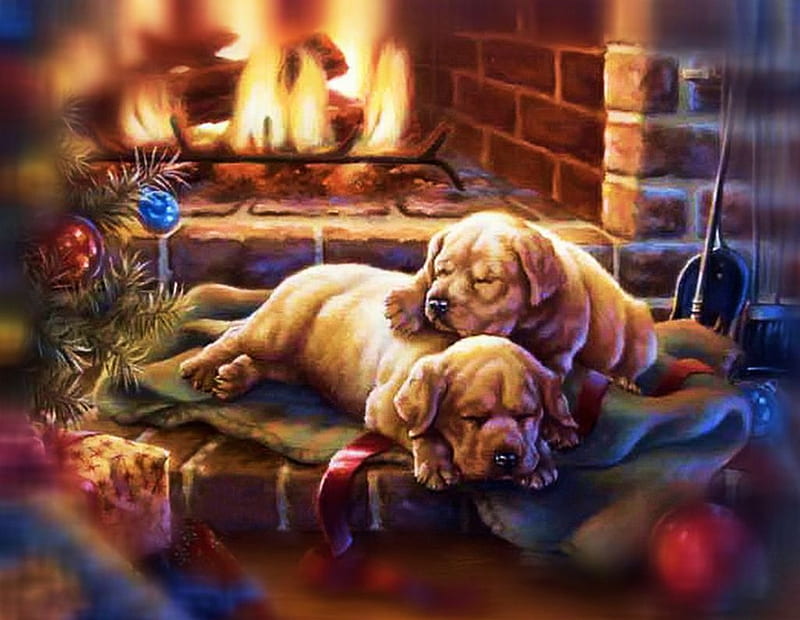 Cozy Place, tree, christmas, sleeping, chimney, dogs, gifts, HD wallpaper