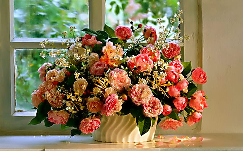 Beautiful Flowers, still life, flowers, roses, window, HD wallpaper ...