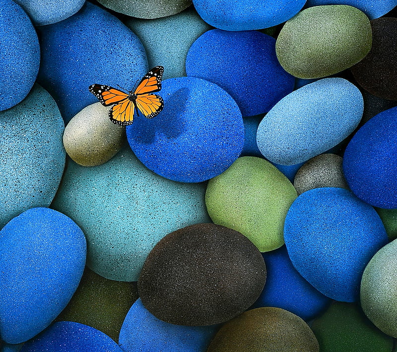 Blue Stones, butterfly, HD wallpaper