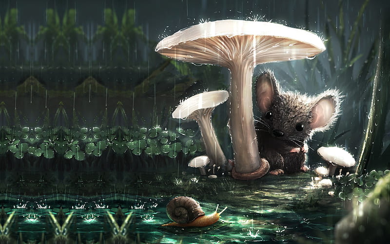 Fantasy Animals, Animal, Mouse, Mushroom, rain, Snail, HD wallpaper