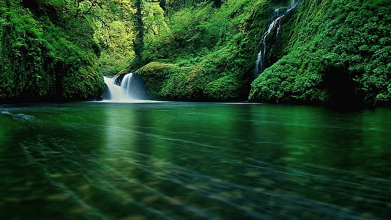 Green nature, waterfall, water, small, green, HD wallpaper | Peakpx