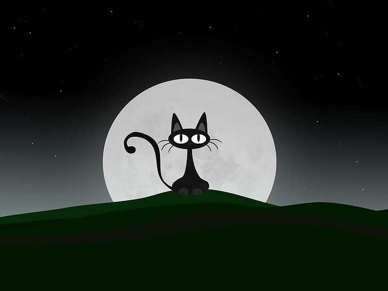 Black Cat, stars, halloween, spooooky, black, cat, cartoon, moon, funny,  night, HD wallpaper | Peakpx