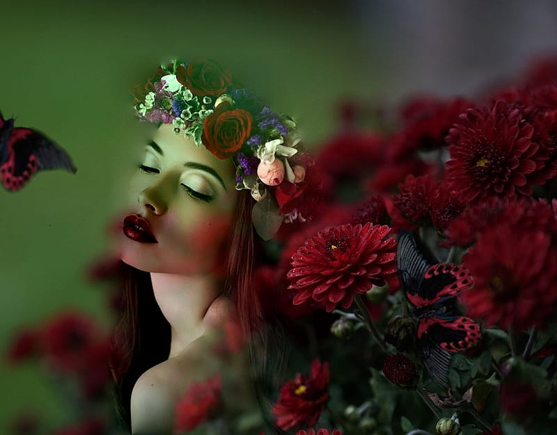 Gorgeous Burgundy, vibrant, bright, the WOW factor, colorful, vivid, , bold, etheral women, butterfly, girl, headdress, flowers, HD wallpaper