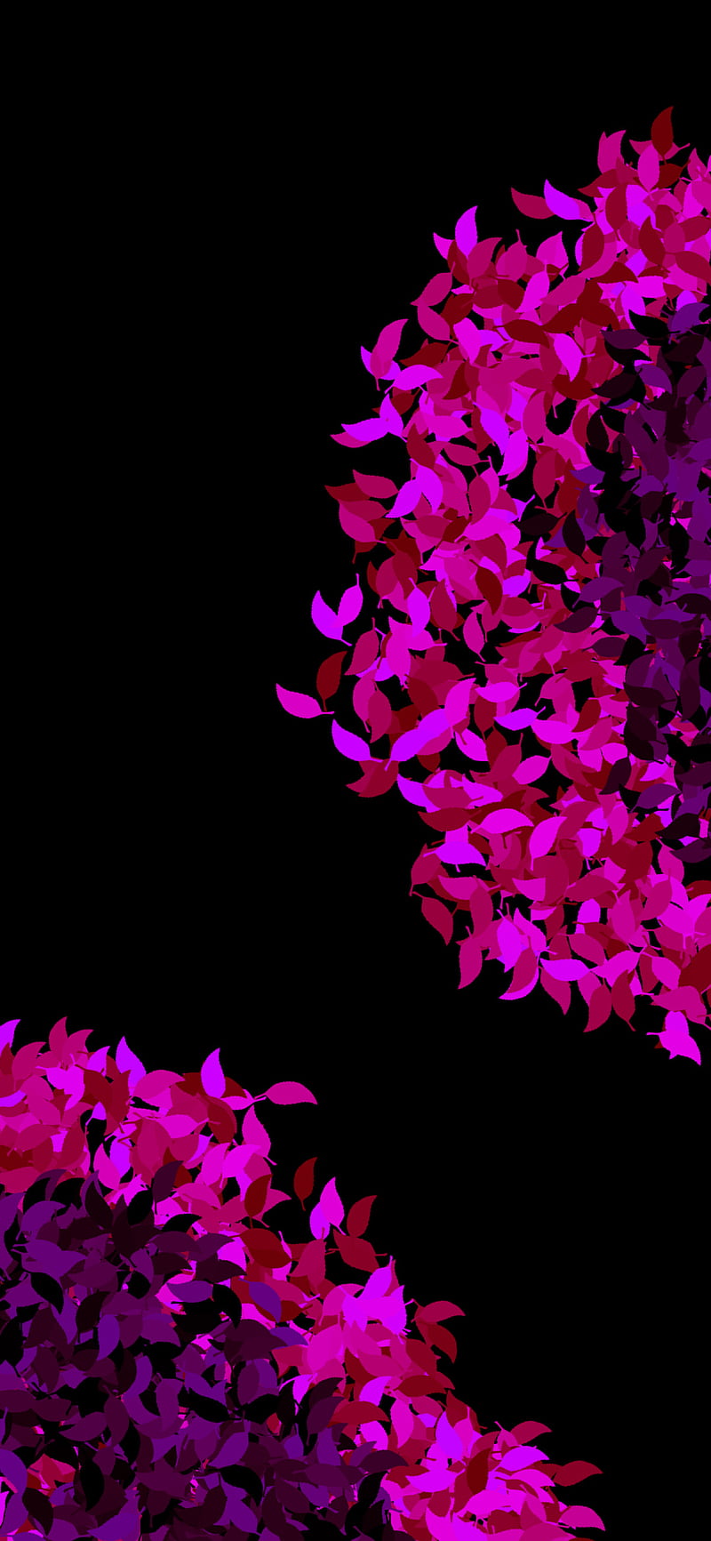 Sakura Dandelion, abstract, amoled, black, colored, flower, minimal, minimalist, paint, purple, HD phone wallpaper