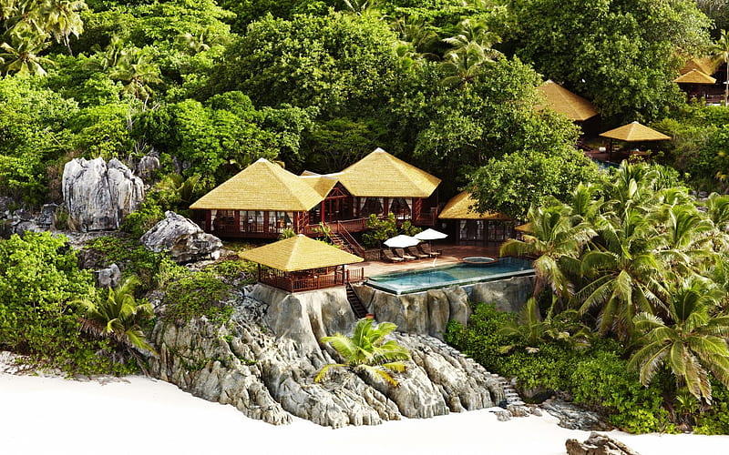 Fregate Island, resort, indian, ocean, nature, palm, island, trees, HD wallpaper