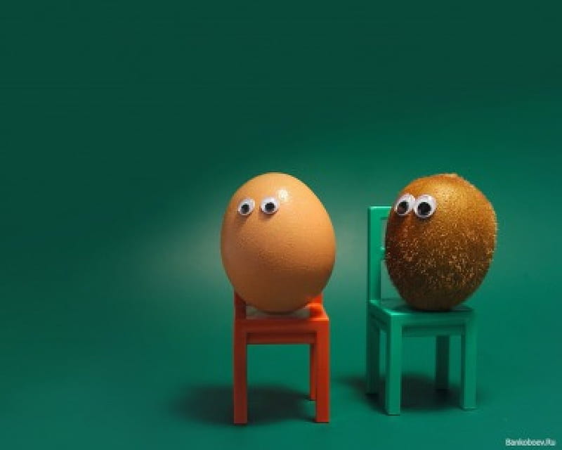 casal?, ovo, cadeiras, humor, kiwi, HD wallpaper