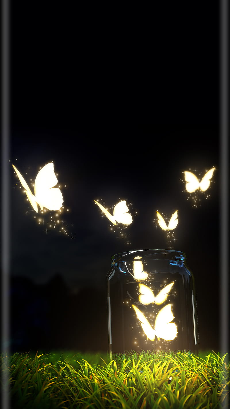 butterfly, papillon, HD phone wallpaper