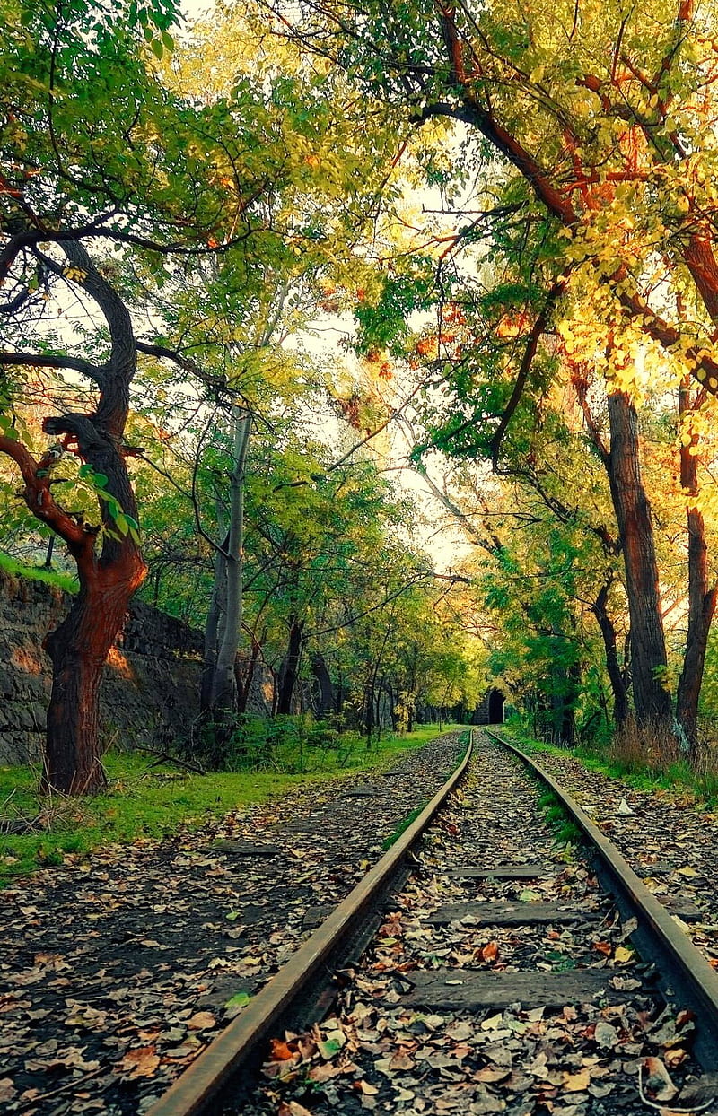 Nature, railway, tracks, HD phone wallpaper