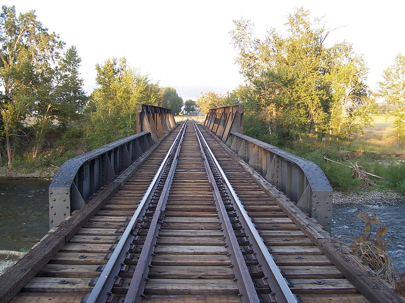 abandoned Rail Line, bridge, rail line, river, tressle, trees, HD wallpaper