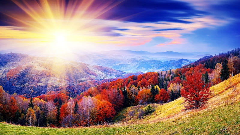 Glorious autumn day, hills, forest, autumn, sun, sky, HD wallpaper | Peakpx