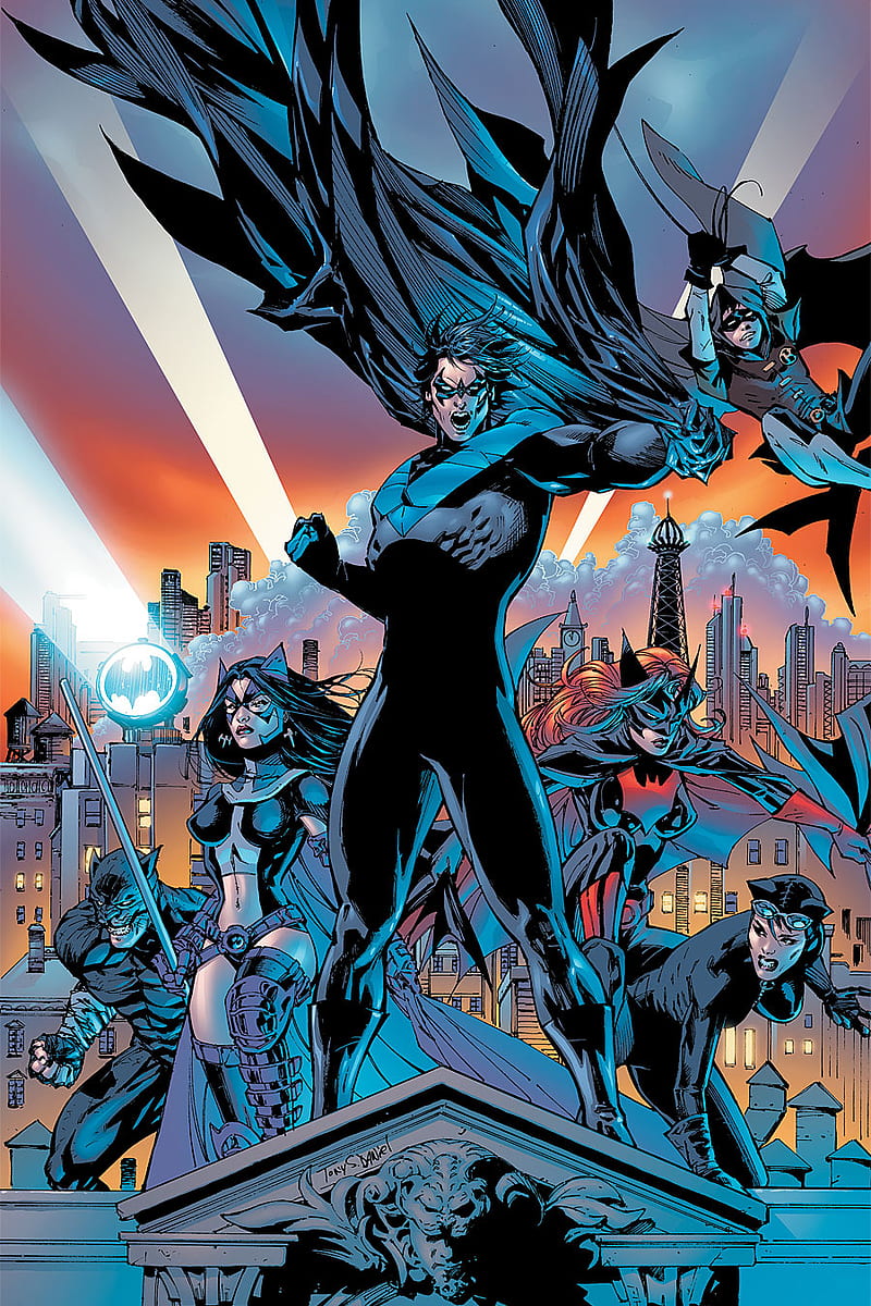 Batman Family, batman, catwoman, comic, dc, nightwing, robin, HD phone wallpaper
