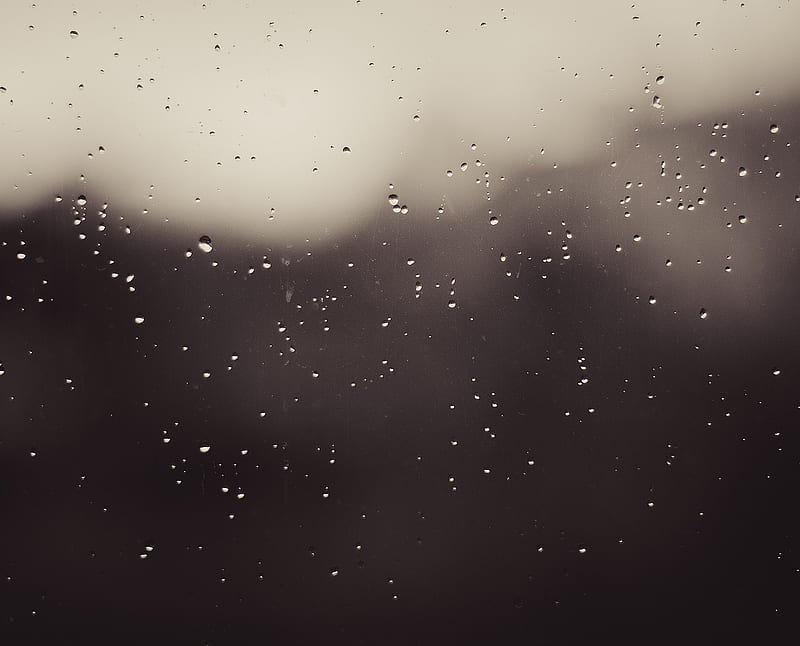 Rain, nature, HD wallpaper | Peakpx