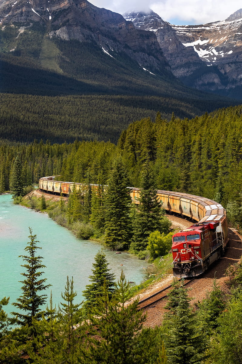 train, railway, forest, lake, travel, HD phone wallpaper