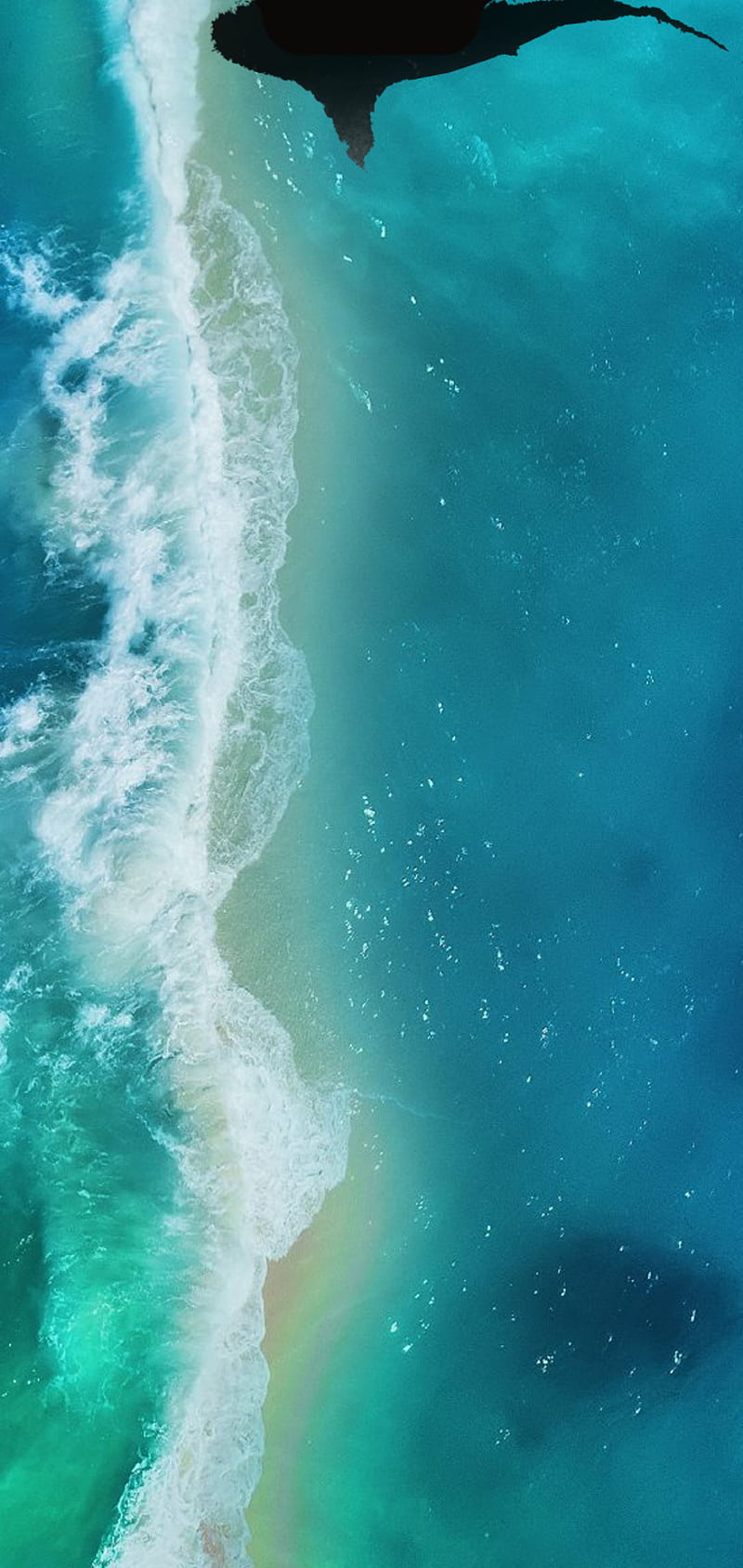 Moto Beach Shark, beach, notch, ocean, oneplus, shark water, waves, HD phone wallpaper