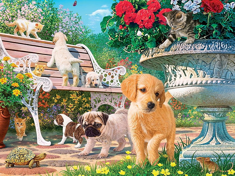 Afternoon at the Park, bench, flowers, painting, turtle, cat, dogs, artwork, pups, HD wallpaper