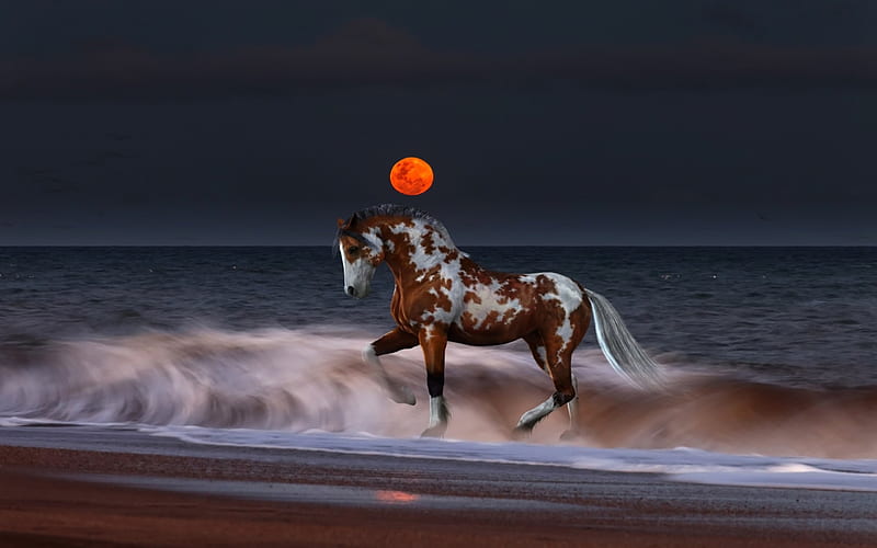 A ride at sea and at moonrise, red, horse, abstract, fullmoon, sea, beach, moonrise, graphy, moon, 3d, seaside, night, HD wallpaper