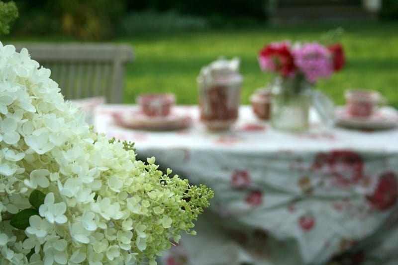 A Gardener's Tea, graina, ceai, timp, cald, HD wallpaper