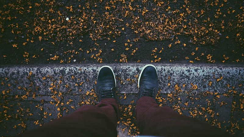Sneakers Autumn Leaves Fallen , autumn, sneakers, leaves, HD wallpaper