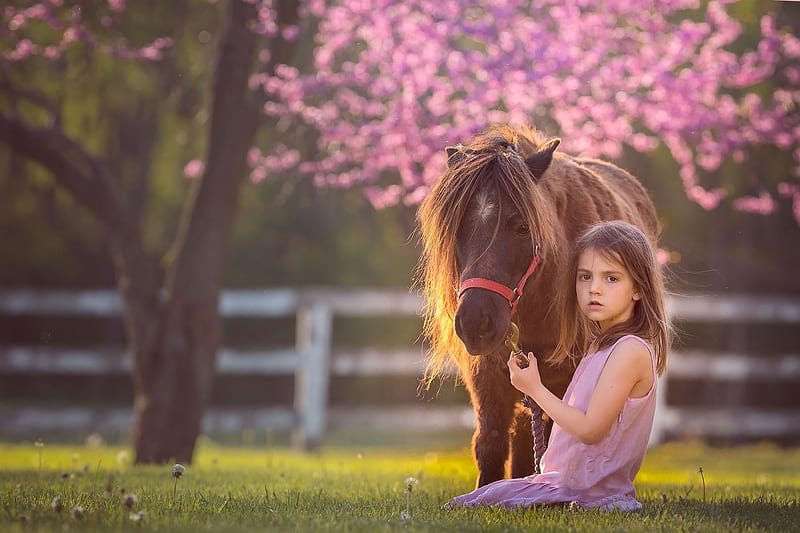 little girl, pretty, grass, adorable, sightly, sweet, nice, love, beauty, face, child, bonny, lovely, pure, blonde, baby, set, cute, white, Hair, little, Nexus, bonito, dainty, kid, graphy, fair, Horse, green, people, pink, Belle, comely, roses, tree, girl, princess, childhood, HD wallpaper