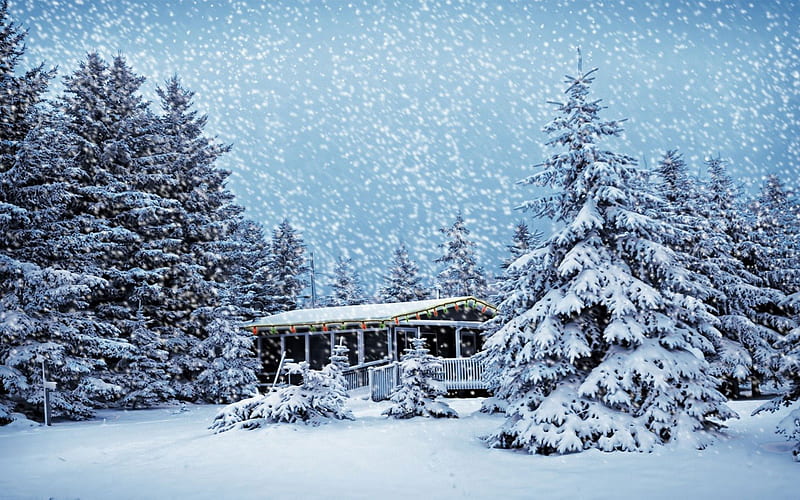 Christmas Snowstorm, snow storm, blizzard, snowstorm, HD wallpaper