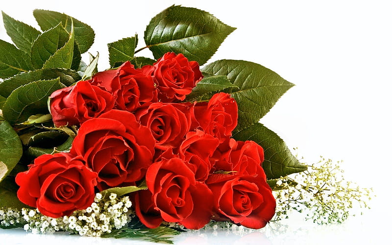 Valentine's Day, Flowers, Flower, Rose, Leaf, Bouquet, Earth, Red Rose ...