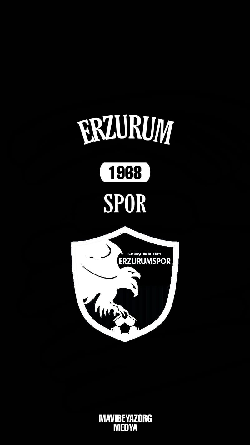 Erzurumspor, 25, dadas, duvar, erzurum, kagidi, mavibeyaz, siyahbeyaz, HD phone wallpaper