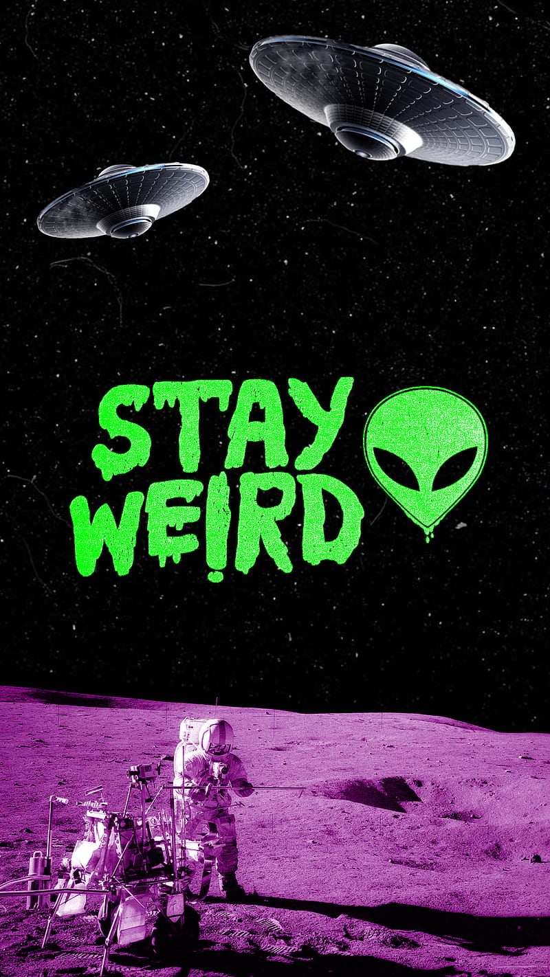 Stay Weird, alien disclosure, believe, different, ufo, unique, weird, HD phone wallpaper
