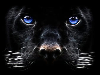 Black panther, black, face, jaguar, eyes, panther, animals, HD wallpaper |  Peakpx