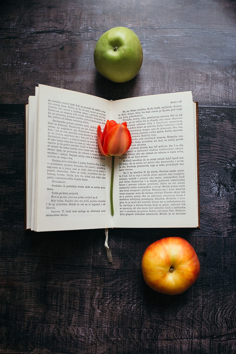 book, tulip, flower, apples, composition, HD phone wallpaper