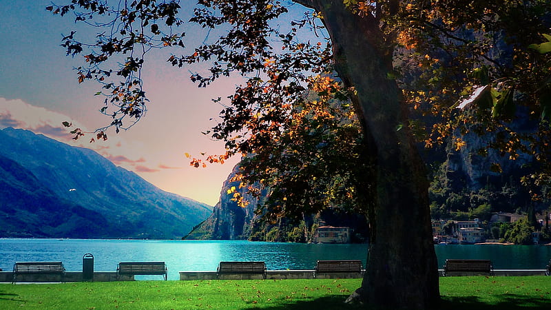 autumn afternoon at the park, nature, relax, park, lake, Riva del Garda, romantik, colors, italy, armony, autumn, peace, my city, HD wallpaper