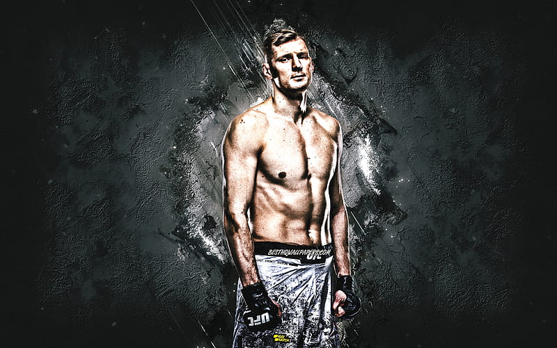 Alexander Volkov, MMA, UFC, Russian fighter, portrait, gray stone background, Ultimate Fighting Championship, HD wallpaper