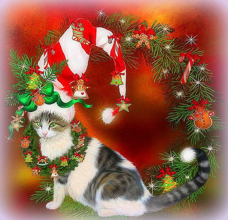 ★Cat in Christmas Cookie Hat★, ornaments, wreath, holidays, socks, garlands, softness beauty, bonito, digital art, xmas and new year, decorations, cookie hat, animals, stars, lovely, christmas, love four seasons, creative pre-made, cat, balls, weird things people wear, bells, celebrations, HD wallpaper