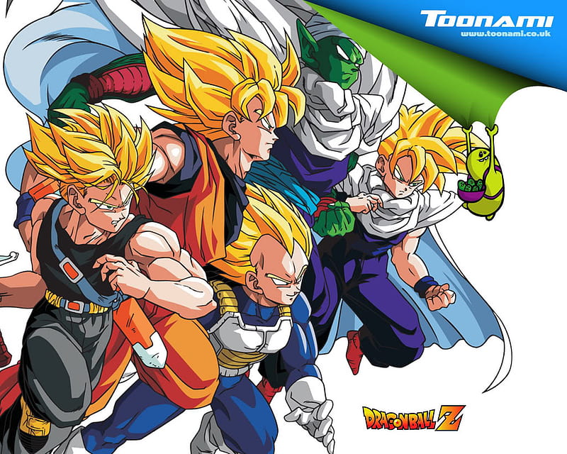 Legendary Z Fighters, z fighters, fighters, dragonball, anime, HD wallpaper