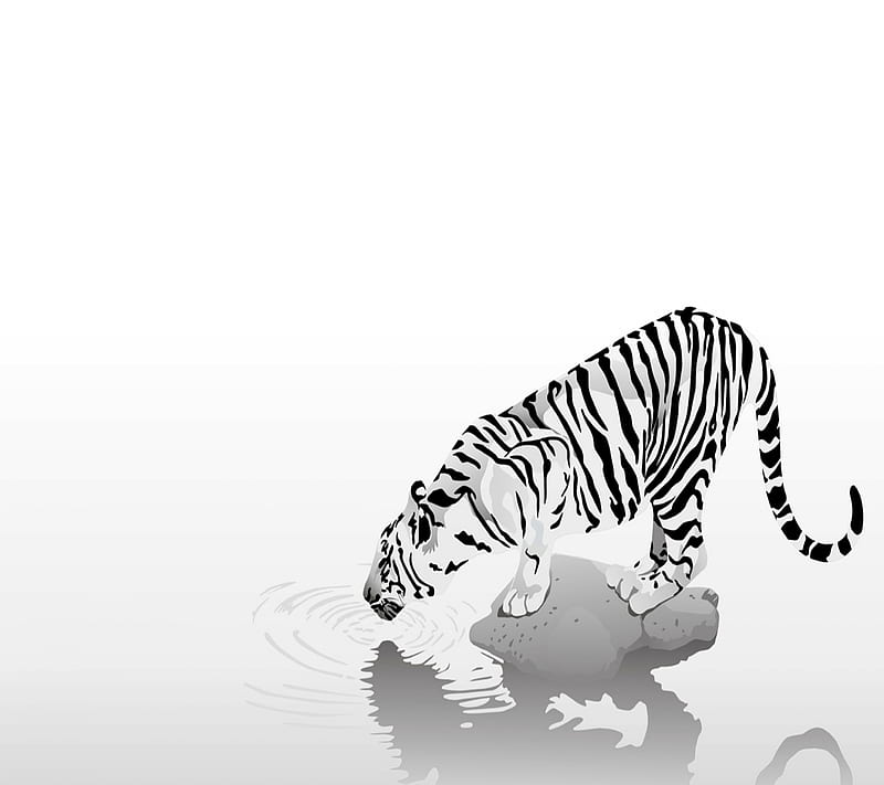 Abstract Tiger, 2160x1920, HD wallpaper