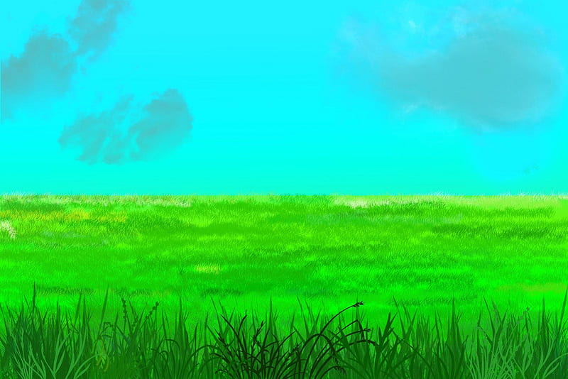 Grass, view, background, anime, HD wallpaper | Peakpx