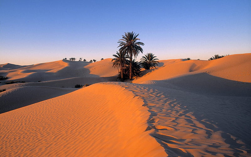 40 Tunisia-Sahara Desert, HD wallpaper