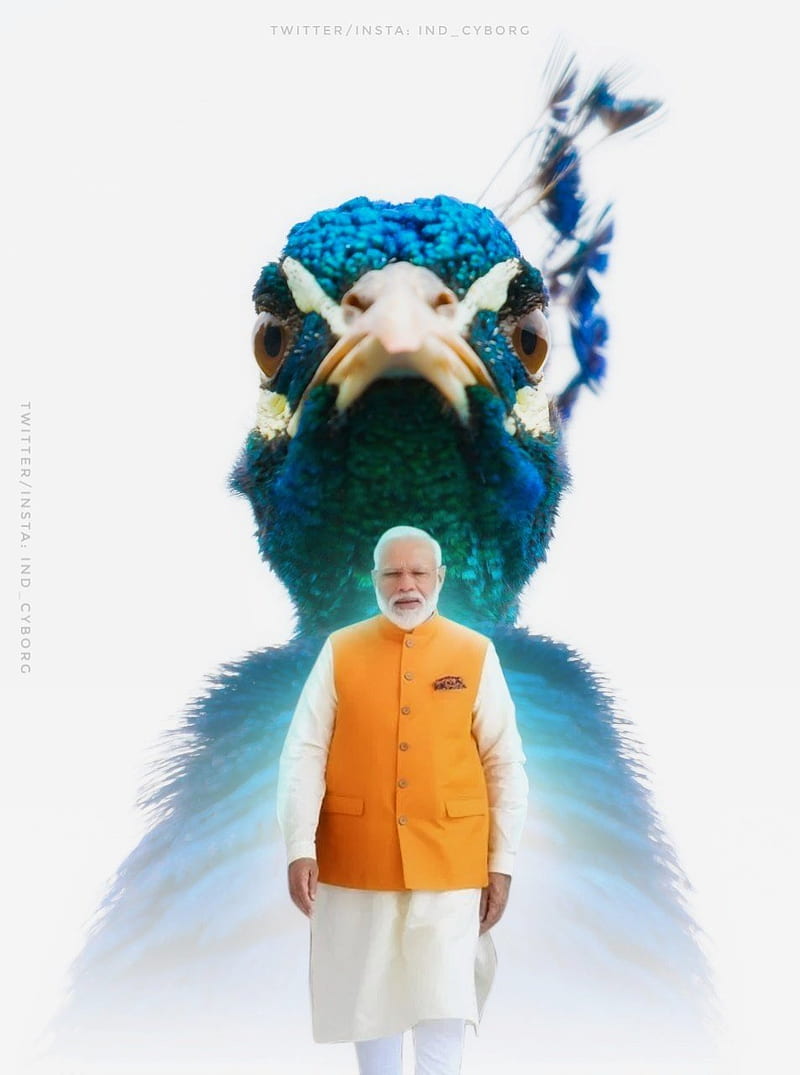 Narendra Modi Ji, bjp, india, modi ji, pmo, prime minister, HD phone wallpaper