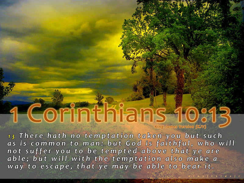 1 Corinthians 10:13, Christian, bible-verse, bible verse , KJV, Jesus, bible verse background, bible verse, love, God, faith, HD wallpaper