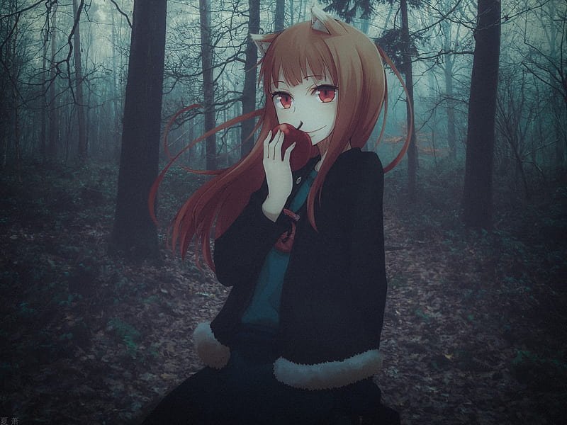 Holo Spice and Wolf, HD wallpaper