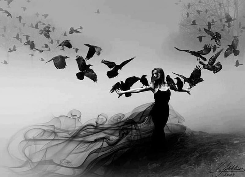 Wings, art, fantasy, gothic, dark, black and white, birds, HD wallpaper