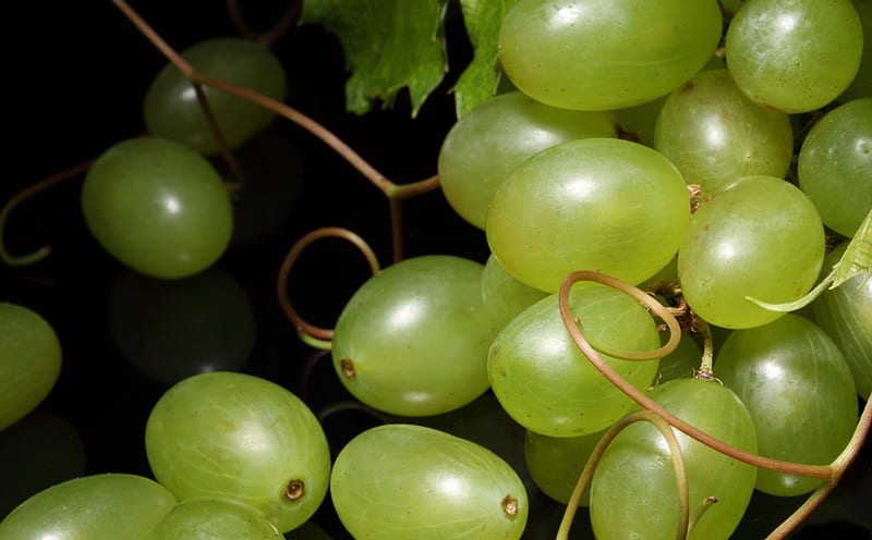*** Bunch of grapes ***, przyroda, winogron, kisc, owoce, HD wallpaper