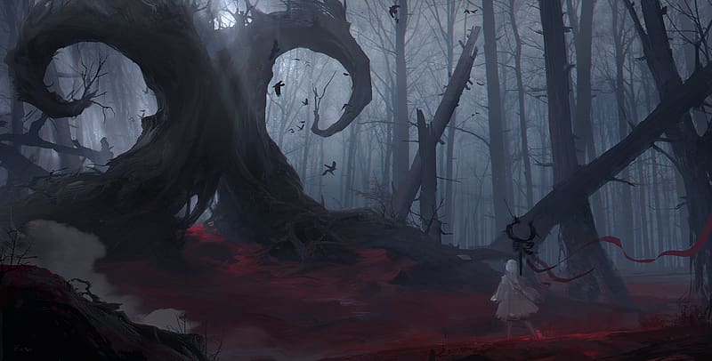 Dark Forest Anime Wallpapers - Wallpaper Cave